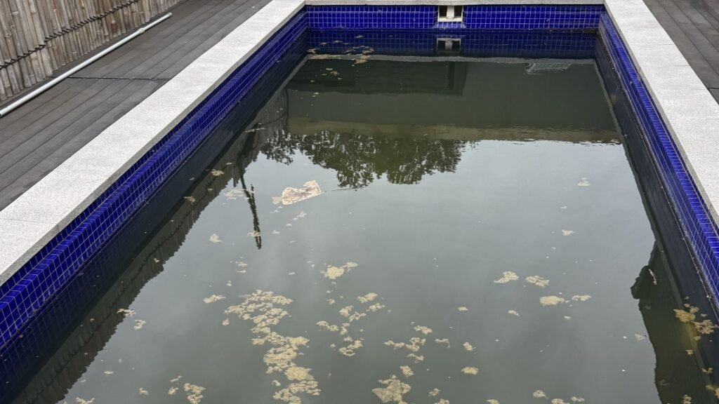 Green pool with algae buildup before professional cleaning in Caroline Springs Melbourne