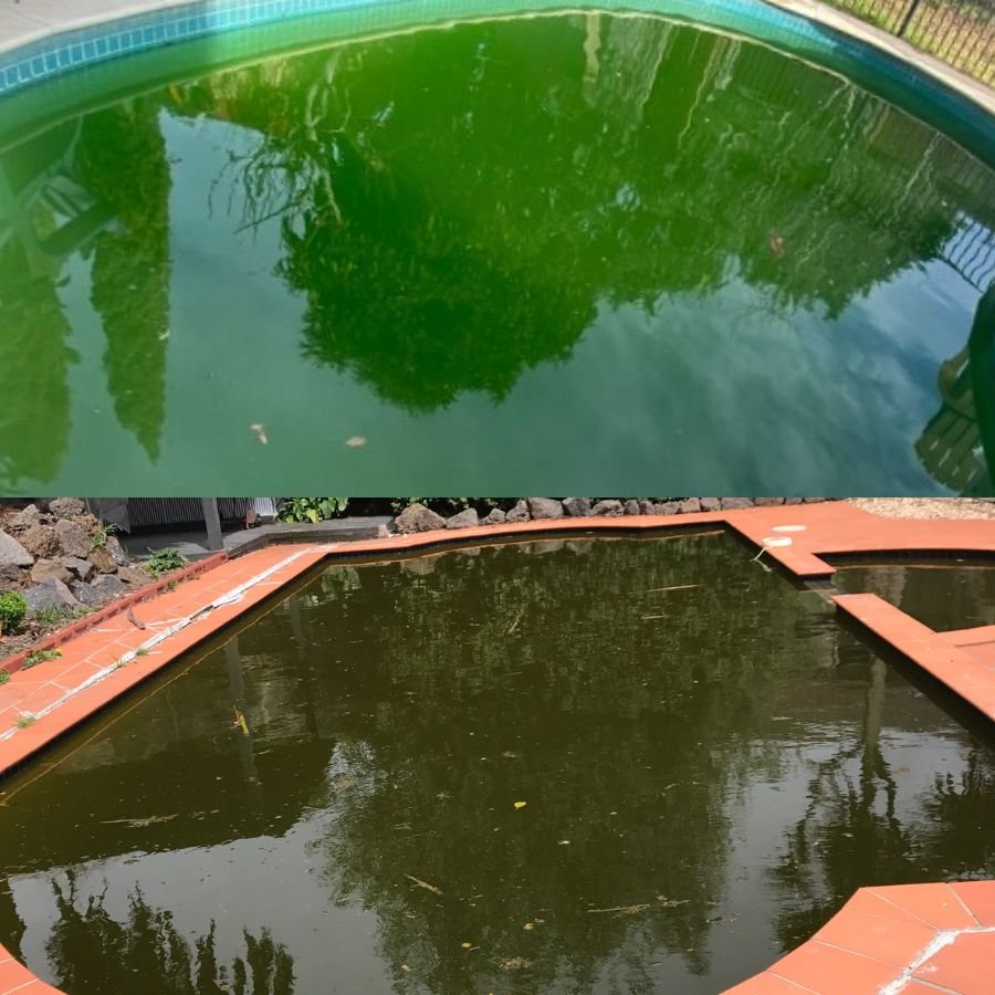 Green pool algae problem in Taylors Lakes Melbourne requiring pool recovery service